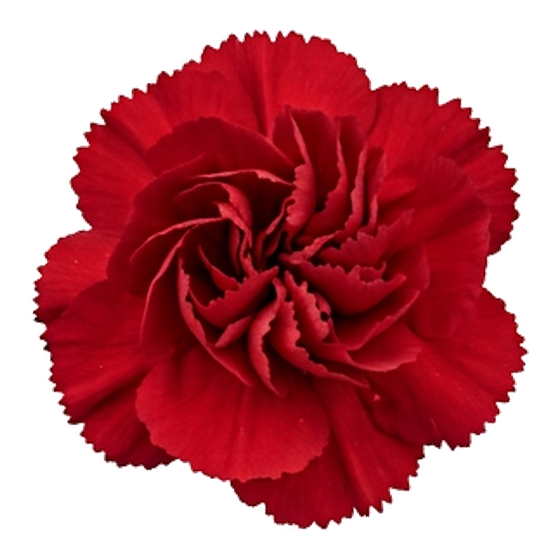 Kırmızı